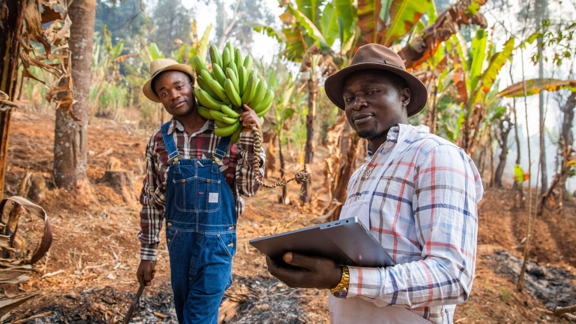 Agricultural Modernization
